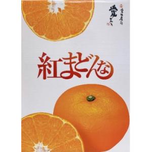ふるさと納税 松山市 紅まどんな　JAえひめ中央 青秀　L〜2Lサイズ