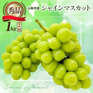 ふるさと納税 山梨市 【2026年先行受付】大人気!シャインマスカット秀 1kg(2房)
