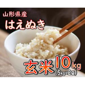 ふるさと納税 新庄市 【令和7年産】　はえぬき(玄米)10kg　山形県産