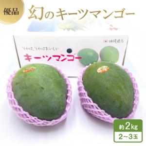 ふるさと納税 与那原町 【2027年8月中旬から順次発送・贈答用】幻のキーツマンゴー約2kg(2玉〜...