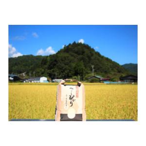 ふるさと納税 売木村 【令和7年産】うるぎ米 3kg
