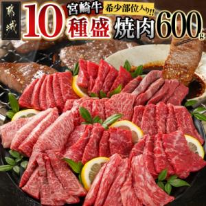 ふるさと納税 都城市 宮崎牛赤身焼肉10種盛焼肉 600g