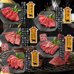 ふるさと納税 都城市 宮崎牛赤身焼肉10種盛焼...の詳細画像1
