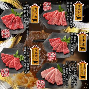 ふるさと納税 都城市 宮崎牛赤身焼肉10種盛焼...の詳細画像2