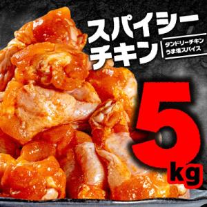 ふるさと納税 京都府 スパイシーチキン2種 計5...の商品画像