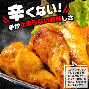 ふるさと納税 京都府 スパイシーチキン2種 計...の詳細画像1