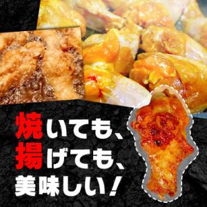 ふるさと納税 京都府 スパイシーチキン2種 計...の詳細画像2
