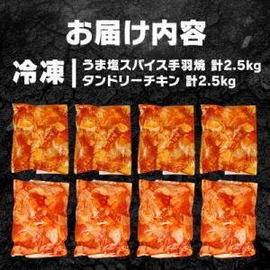 ふるさと納税 京都府 スパイシーチキン2種 計...の詳細画像3