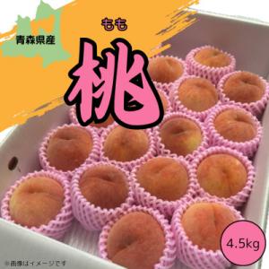 ふるさと納税 黒石市 青森県産 　本州最北端の桃 　4.5kg(12〜20玉)　【2026年8月中旬ごろ〜発送開始】