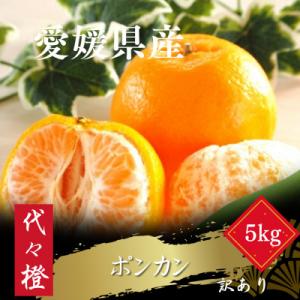 ふるさと納税 八幡浜市 【濃厚な甘さ】【訳あり】ポンカン 5kg【C83-15】