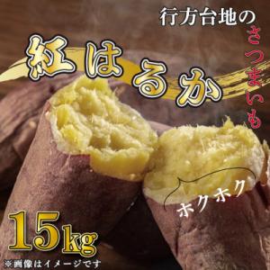 ふるさと納税 行方市 先行予約　茨城県産 紅はるか 訳あり 無選別 さつまいも 15kg サツマイモ...