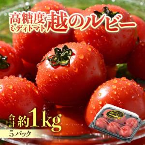 ふるさと納税 あわら市 【先行予約】高糖度ミディトマト越のルビー 約1kg 5パック(4パック+品質補償1パック)