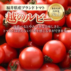 ふるさと納税 あわら市 【先行予約】高糖度ミデ...の詳細画像1
