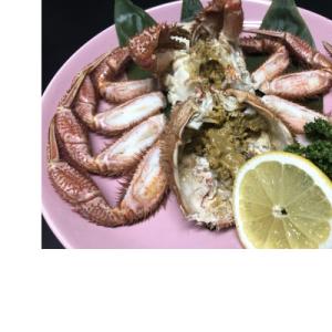 ふるさと納税 網走市 先行予約・オホーツク流氷海明け活〆大サイズ茹で毛蟹2尾で約1.5kg冷蔵便届け