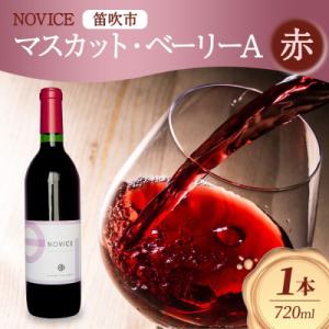 ふるさと納税 笛吹市 赤ワイン NOVICE マスカット・ベーリーA 720ml×1本 日川中央葡萄...