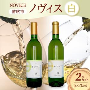 ふるさと納税 笛吹市 白ワイン NOVICE(ノヴィス)甲州 2種 2本セット 日川中央葡萄酒 山梨...