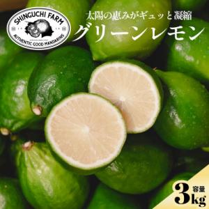 ふるさと納税 八幡浜市 【皮が薄くて種がない】愛媛グリーンレモン 3kg 愛媛県産【C70-50】