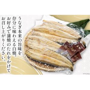 ふるさと納税 吉田町 静岡県産鰻白焼4尾 約1...の詳細画像2