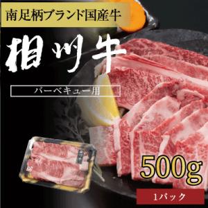 ふるさと納税 南足柄市 相州牛(そうしゅうぎゅう)BBQ用(厚切り&amp;薄切りセット)　500g