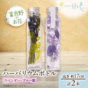 ふるさと納税 富良野市 【ギフト】富良野のお花 ...の商品画像