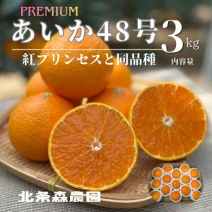 紅プリンセス（フルーツ） | 食品 のおすすめ人気商品一覧 通販