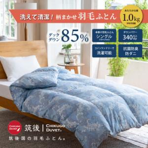 ふるさと納税 広川町 【訳あり】洗える羽毛本掛け布団85%1.0kgシングル(ブルー・グリーン系)【...