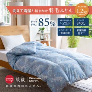 ふるさと納税 広川町 【訳あり】洗える羽毛本掛け布団85%1.2kgシングル(ブルー・グリーン系)【...
