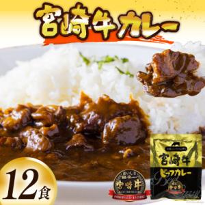 ふるさと納税 日向市 宮崎牛カレー(160g×12食)｜Yahoo!ふるさと納税