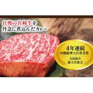 ふるさと納税 日向市 宮崎牛カレー(160g×...の詳細画像3