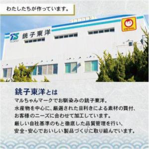 ふるさと納税 銚子市 【訳あり】塩鯖(冷凍)3...の詳細画像1