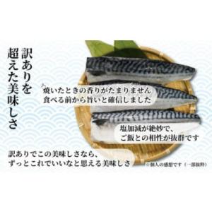 ふるさと納税 銚子市 【訳あり】塩鯖(冷凍)3...の詳細画像2