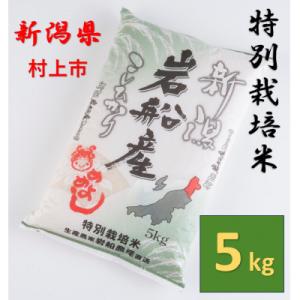 ふるさと納税 村上市 【令和7年産米】特別栽培米  岩船産コシヒカリ5kg　精米　1013005