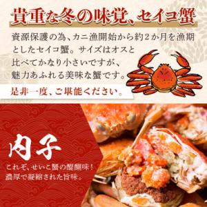 ふるさと納税 京丹後市 【期間エリア限定!訳あ...の詳細画像1
