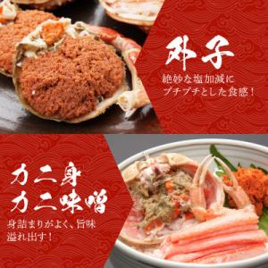 ふるさと納税 京丹後市 【期間エリア限定!訳あ...の詳細画像2