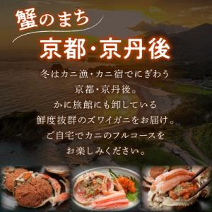 ふるさと納税 京丹後市 【期間エリア限定!訳あ...の詳細画像3