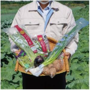 ふるさと納税 京都府 京野菜 おためしセットおまかせ6種