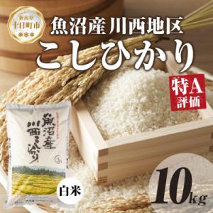 ふるさと納税 十日町市 【令和7年産】魚沼産 川西 こしひかり 精米 5kg×2 新潟県産 お米 産地直送 十日町