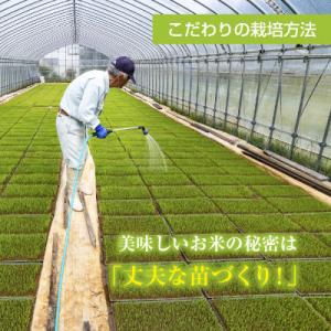 ふるさと納税 十日町市 【令和7年産】魚沼産 ...の詳細画像1