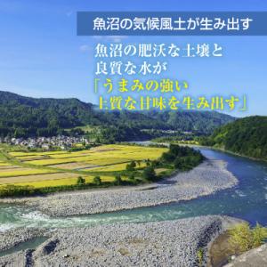 ふるさと納税 十日町市 【令和7年産】魚沼産 ...の詳細画像2