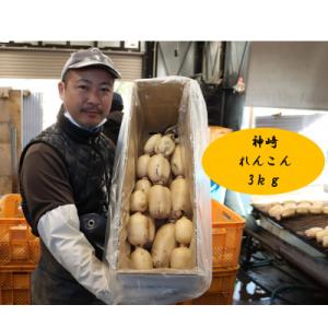 ふるさと納税 神崎町 9月〜翌3月発送　神崎町ふるさと れんこん　(3kg)