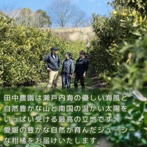 ふるさと納税 松山市 【1月中旬から順次発送】...の詳細画像1