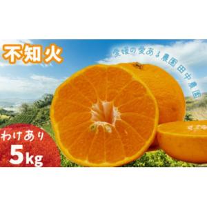 ふるさと納税 松山市 【2月下旬から順次発送】【訳あり】不知火 しらぬい 約5kg