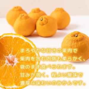 ふるさと納税 松山市 【2月下旬から順次発送】...の詳細画像1