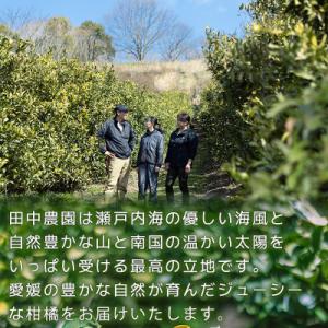 ふるさと納税 松山市 【2月下旬から順次発送】...の詳細画像2