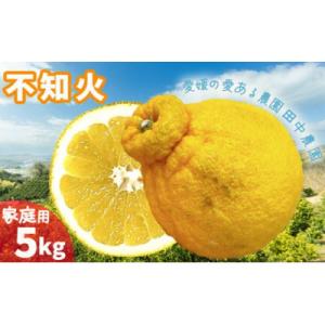 ふるさと納税 松山市 【2月下旬から順次発送】【家庭用】不知火 しらぬい 約5kg