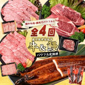 ふるさと納税 指宿市 【全4回定期便】鹿児島自慢牛・うなぎパワフル便(Z050-1774)