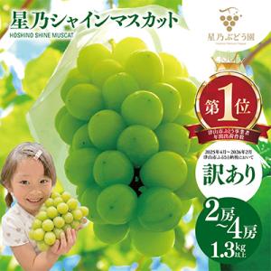 シャインマスカットのおすすめ人気商品一覧 通販 - Yahoo!ショッピング