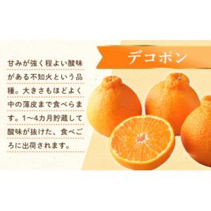 ふるさと納税 琴平町 【ふるさと納税】【香川県共...の商品画像