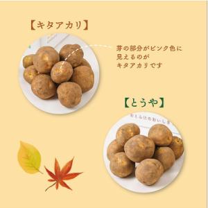 ふるさと納税 音更町 北海道おとふけ産 人気の...の詳細画像1