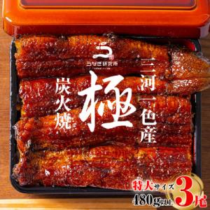 ふるさと納税 西尾市 三河一色産うなぎ蒲焼特大3尾(計480g以上)・R008-24